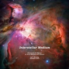 Interstellar Medium book cover